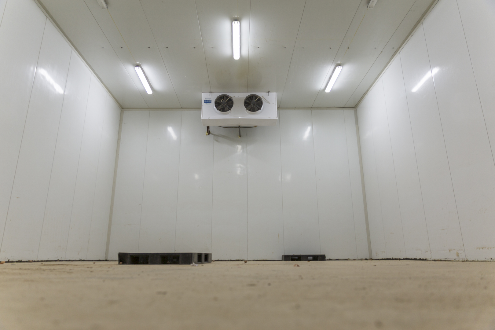 Castellón celebra la fiesta más solidaria el sábado día 12/05