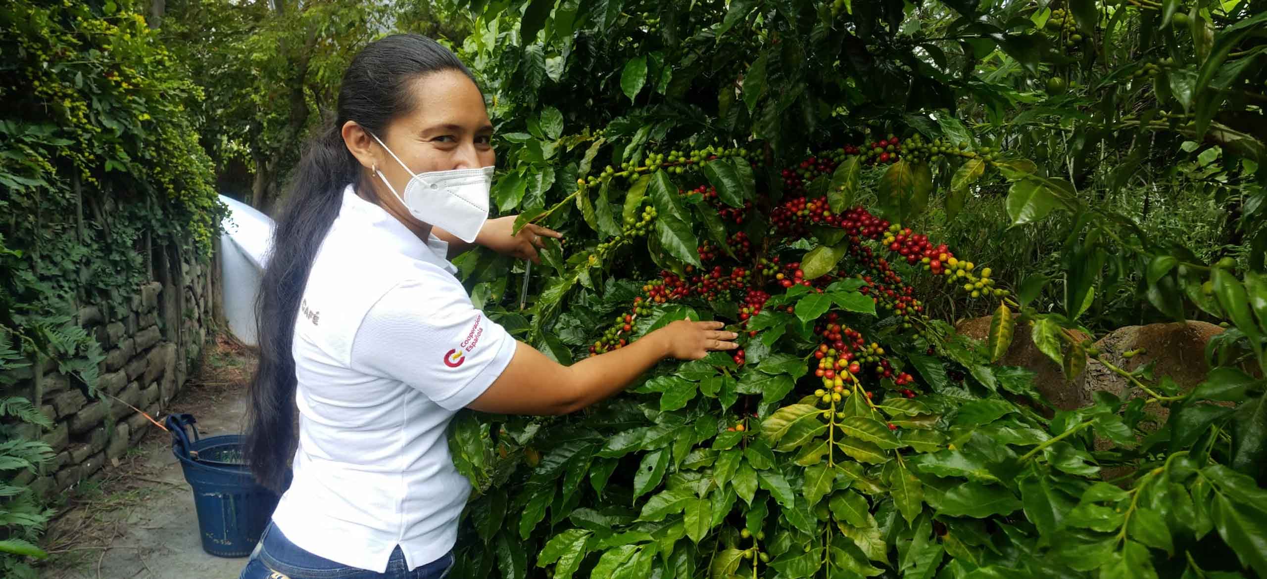 Cesal abre las tres convocatorias del concurso de vídeos para estudiantes “RECacciona”
